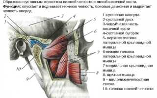 Магнитно-резонансная томография височно-нижнечелюстного сустава: как проходит обследование