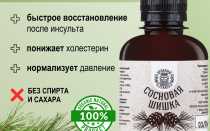 Сосновые шишки от инсульта: особенности лечения и его эффективность