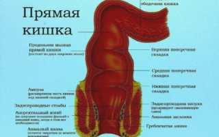 Болезни прямой кишки и заднего прохода: симптомы и лечение, важные аспекты