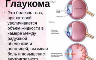 Азарга – аналоги глазных капель, инструкция по применению и рекомендации