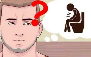 Рецепты из трав и сборы при запорах для улучшения пищеварения