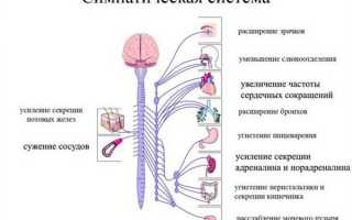 Что такое симпатоадреналовый криз и как его лечить