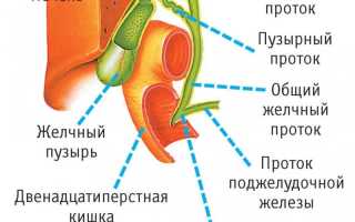 После удаления желчного пузыря начался запор: что делать в такой ситуации