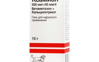 Инструкция по применению и аналоги геля Ксамиол