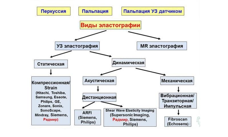 Эластография бывает двух видов: динамическая и статическая