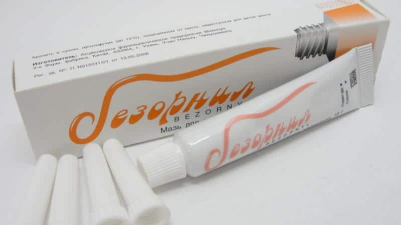 Мазь Безорнил: инструкция по применению при геморрое и отзывы