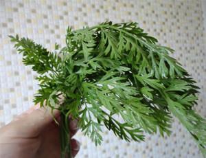 Ботва моркови от геморроя