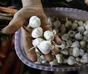 можно ли есть чеснок при простатите