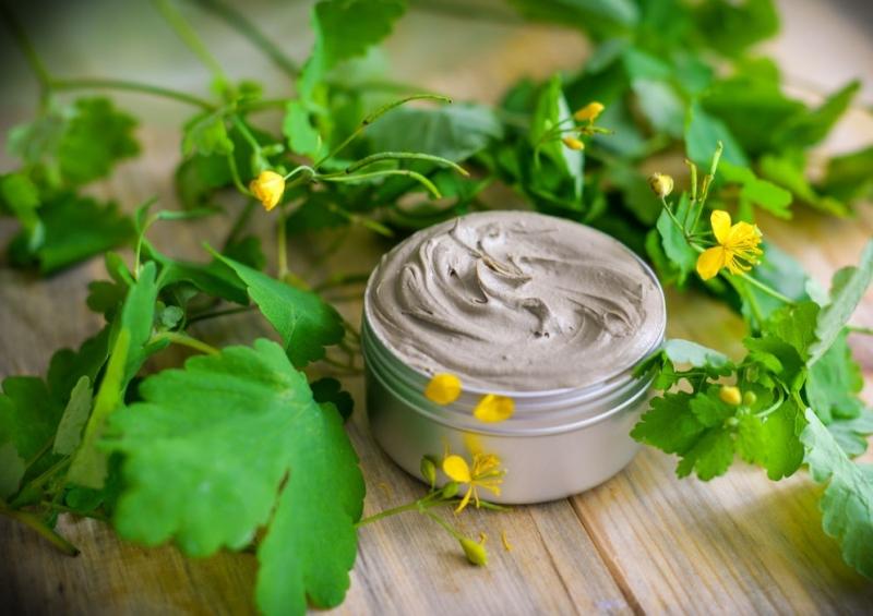 чистотел от геморроя лечение