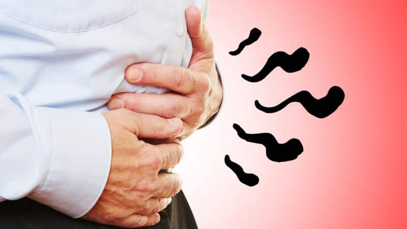 что такое синдром раздраженного кишечника симптомы и лечение