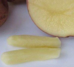 геморрой лечение картофелем