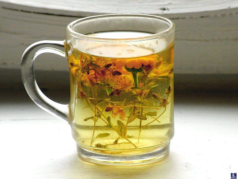 геморрой лечение в домашних условиях чистотелом