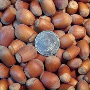 Запор и орехи: как они связаны