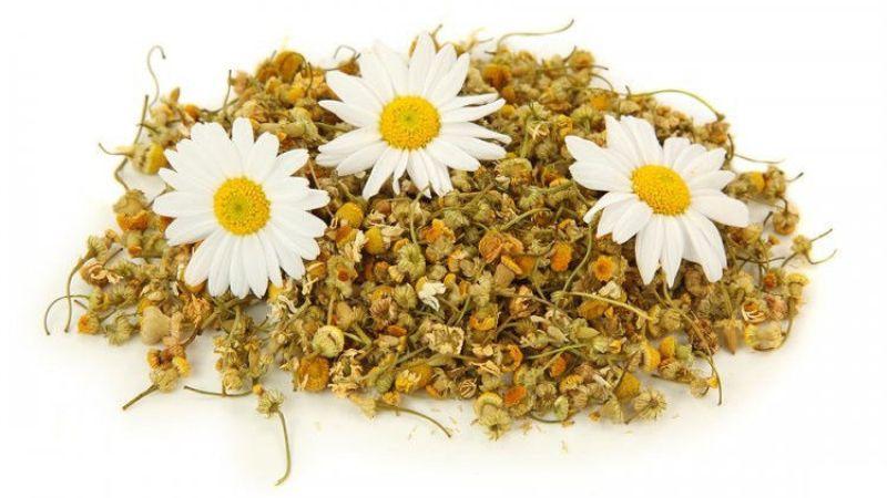 Средства с ромашкой для лечения геморроя