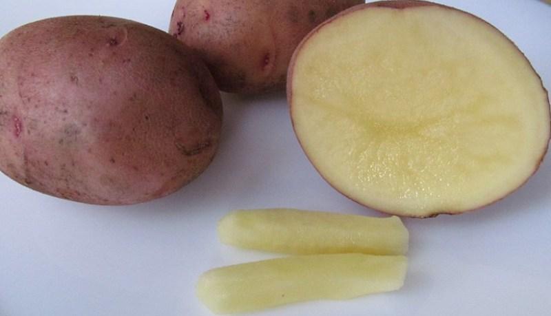 геморрой фото лечение в домашних условиях у мужчин