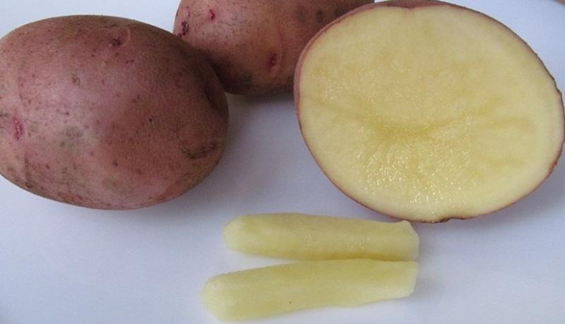 беременность и геморрой лечение