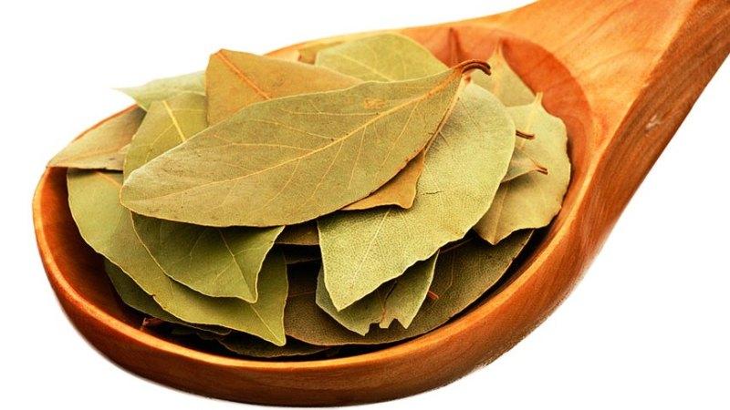 Лечение геморроя лавровым листом: рецепт и отзывы