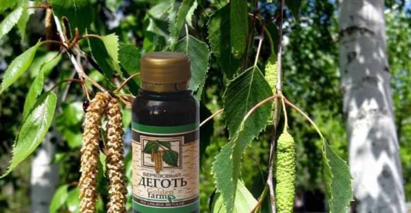 березовый деготь от геморроя отзывы