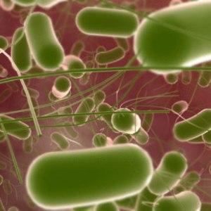 колит кишечника лечение народными средствами