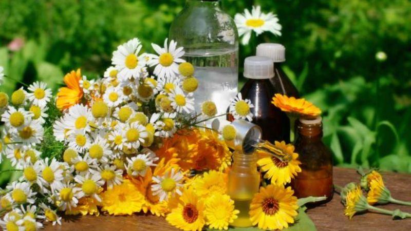 травы для лечения колита кишечника