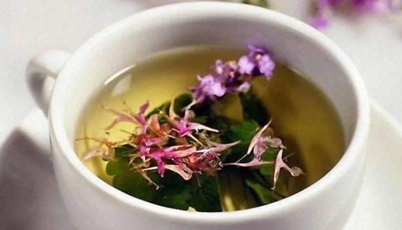 травяной сбор от простатита в аптеках