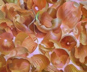 отвар луковой шелухи при простатите