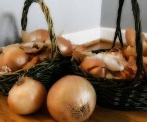 луковая шелуха от простатита рецепт