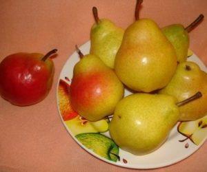 Груша при запорах: можно есть как слабительное или вызывает запор