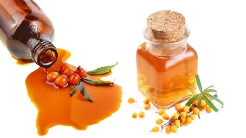 лечение геморроя маслом облепиховым