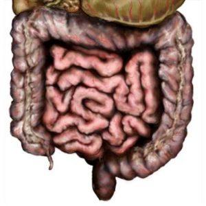 Что такое пневматоз толстой кишки и его лечение