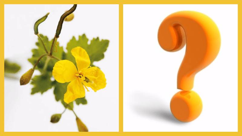 свечи от полипов прямой кишки