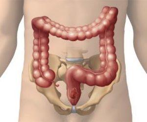 ободочная кишка где находится и как болит