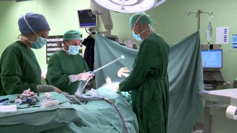 рак толстой кишки лечение толстой кишки