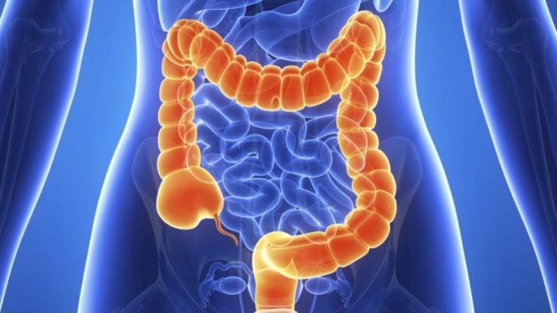 скопия через прямую кишку