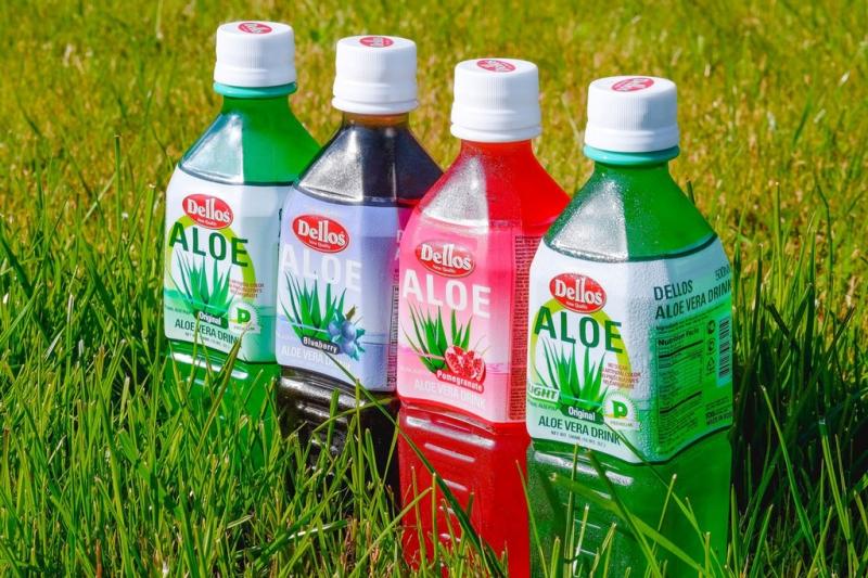 Рецепты алоэ при запорах: как принимать