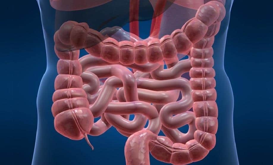 самое эффективное средство от запоров у взрослых