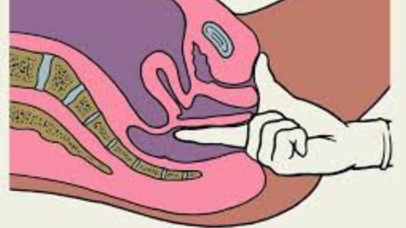 кто такой сфинктер