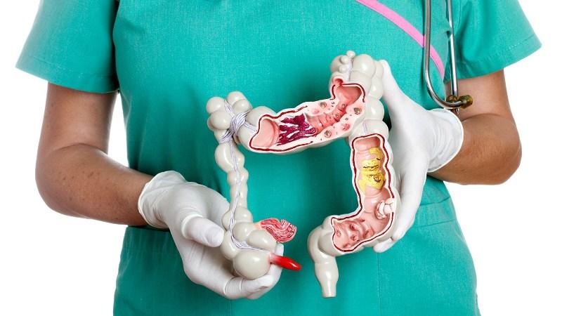 сфинктер у мужчин что это такое