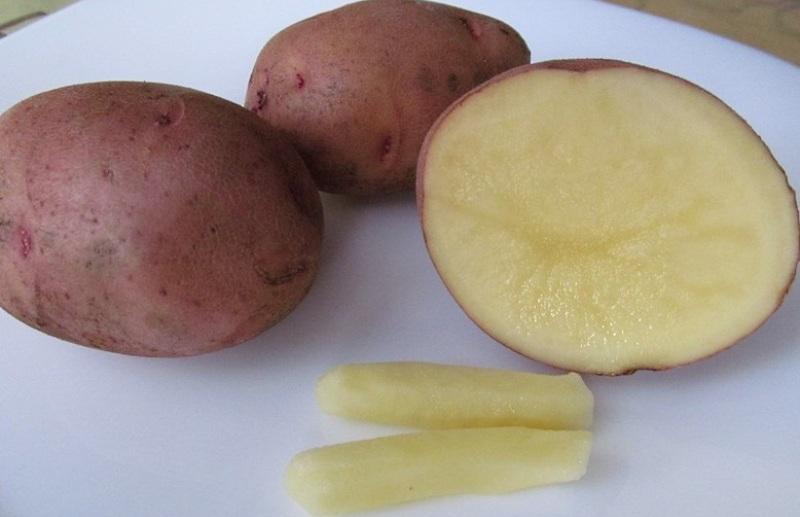 название свечи от геморроя для беременных