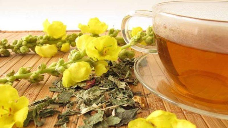 травы для лечения геморроя