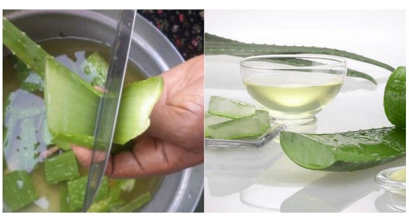 какие травы помогают при геморрое