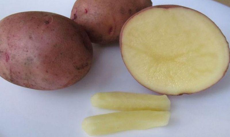 шишка у заднего прохода у женщин причины и лечение