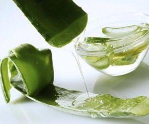 Способы лечения простатита с помощью алоэ: и рецепты