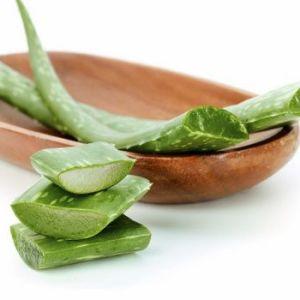 Способы лечения простатита с помощью алоэ: и рецепты