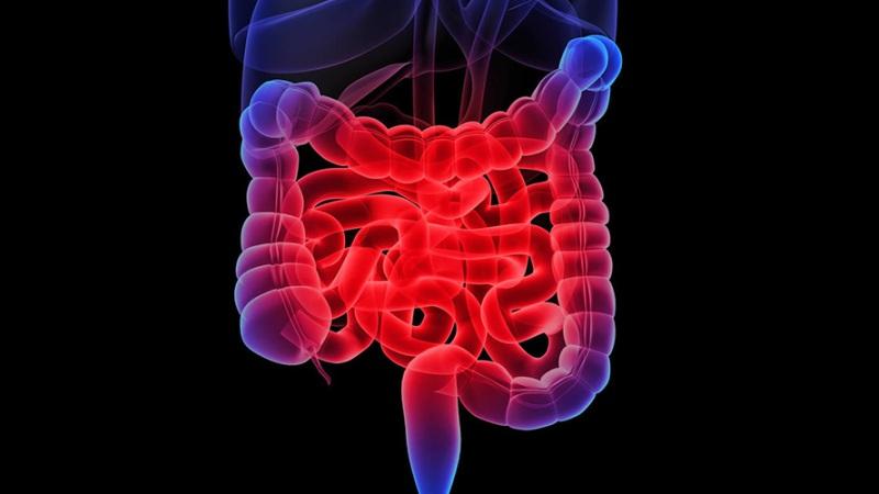 у взрослого слизь с кровью из заднего прохода