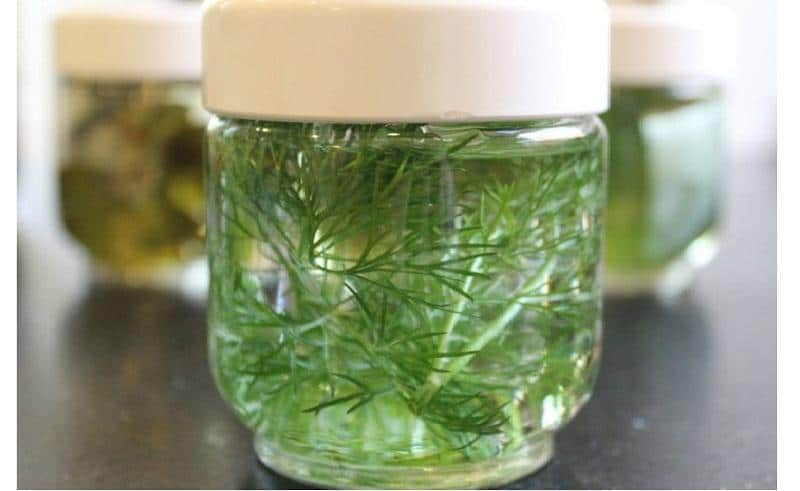 грудному ребенку от запора