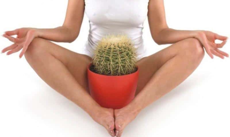 жжение в заднем проходе после опорожнения кишечника